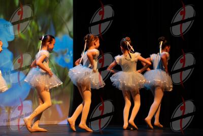 SHOW_02008.jpg